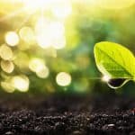 ARISTO – PhD Fellowship