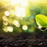 Förderung durch ESF-Programm