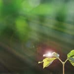 Gesucht: Mitarbeiter (m/w/d) <br> Vertrieb & Marketing